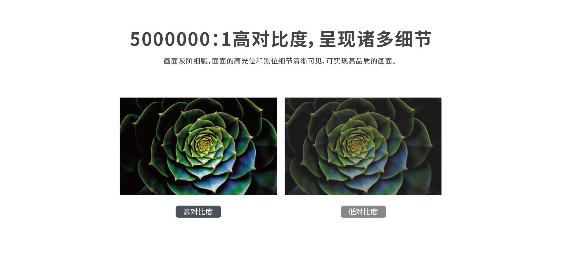 S66-官網詳情頁_05.jpg